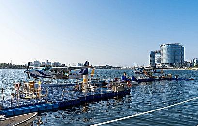 Capcom两场发布会来了 锁定2月5日、将有《鬼武者》《怪物猎人：荒野》