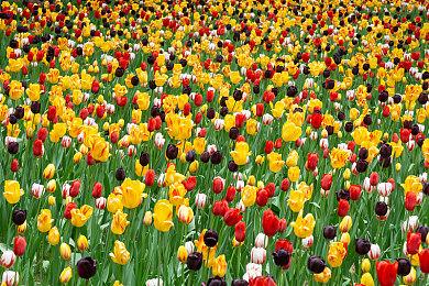 TGA 2021：《巴比伦的陨落》2022年3月3日发售 预购开启