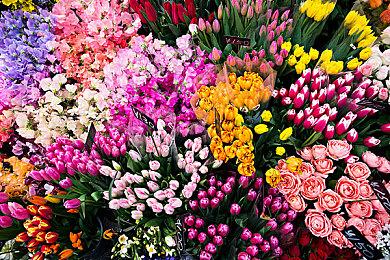 英国9月榜：《星空》不敌FC24 主机销量猛增44%